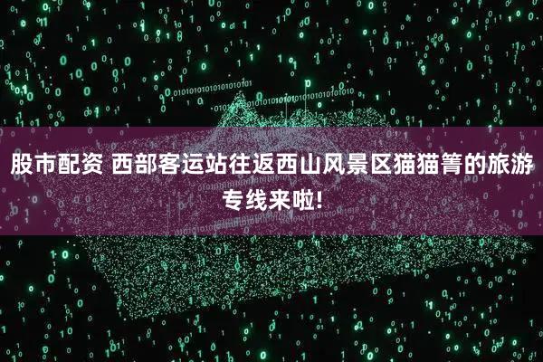 股市配资 西部客运站往返西山风景区猫猫箐的旅游专线来啦!