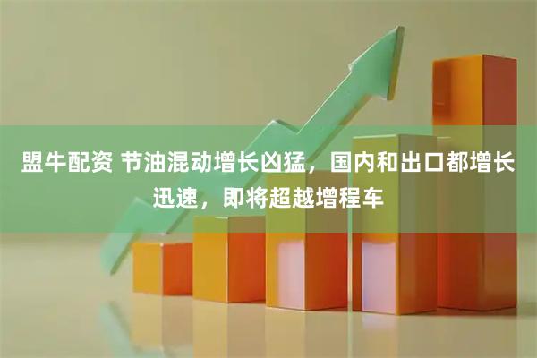 盟牛配资 节油混动增长凶猛，国内和出口都增长迅速，即将超越增程车